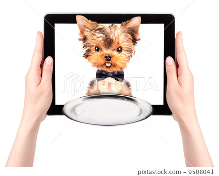 dog holding service tray on a tablet screen dog holding service tray on a tablet screen 9508041