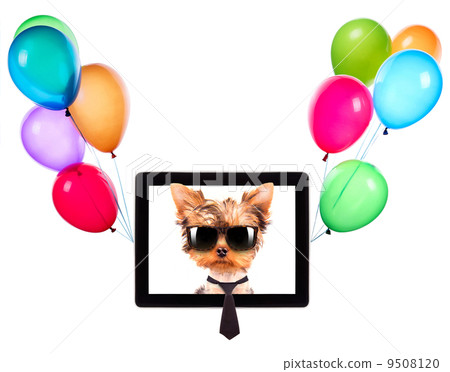 business dog on a digital tablet screen 9508120