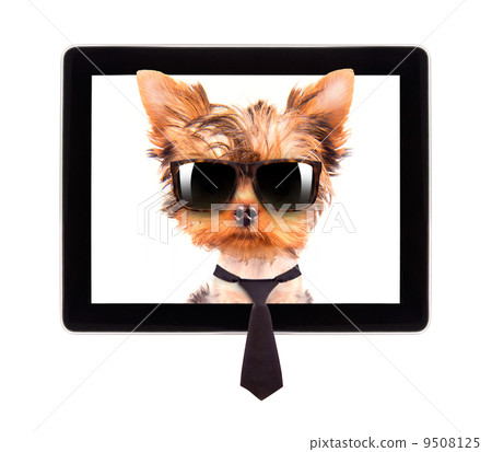 business dog on a digital tablet screen 9508125