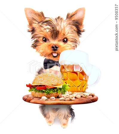 dog holding service tray with food and drink 9508357
