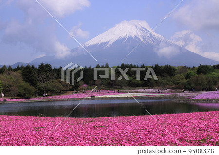 富士山和蘑菇 9508378