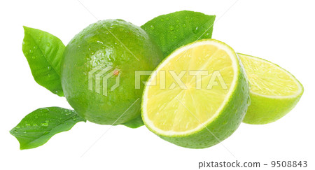 Part lime with leaf Part lime with leaf 9508843