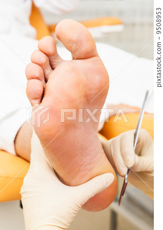 pedicure foot pedicure foot 9508953