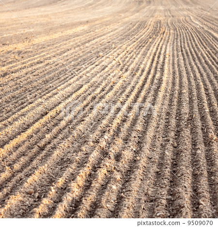 Furrows in a field after plowing it. 9509070