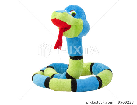 soft toy snake against white background soft toy snake against white background 9509223