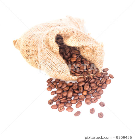 coffe beans isolated 9509436