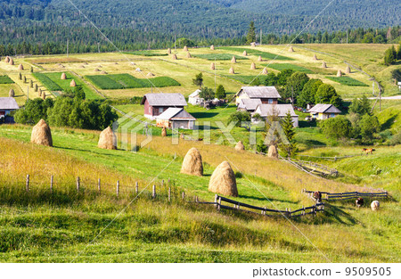 Summer mountain rural view with haystacks (Carpathian, Ukraine) Summer mountain rural view with haystacks (Carpathian, Ukraine) 9509505