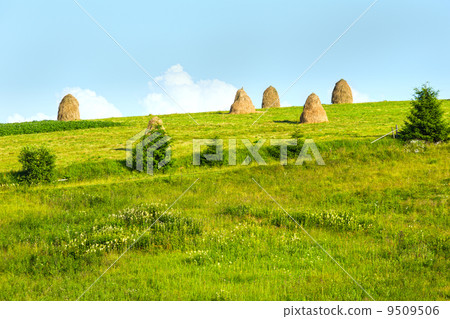 Summer mountain rural view with haystacks (Carpathian, Ukraine) Summer mountain rural view with haystacks (Carpathian, Ukraine) 9509506