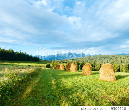 Summer mountain country view 9509510