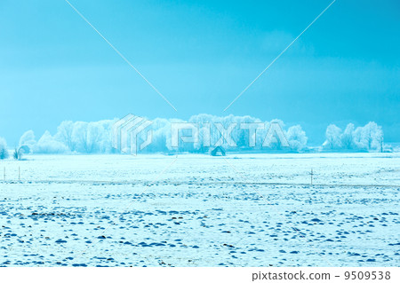 Winter country landscape (Austria). 9509538
