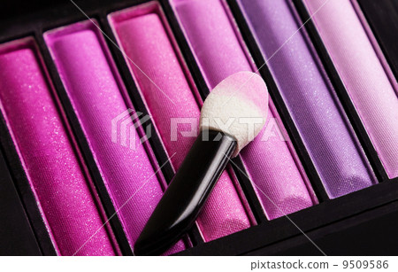 眼影和小費 9509586