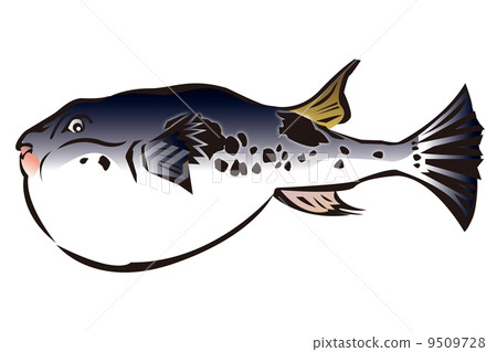 河豚的插圖 9509728