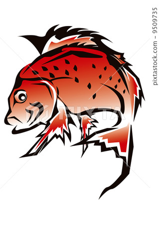 鯛魚圖 9509735
