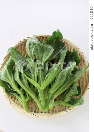 冰廠 冰廠 9510104