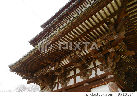 National treasure Todaiji Namdaemun 9510154