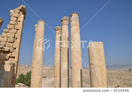 Jellash remains 9510446