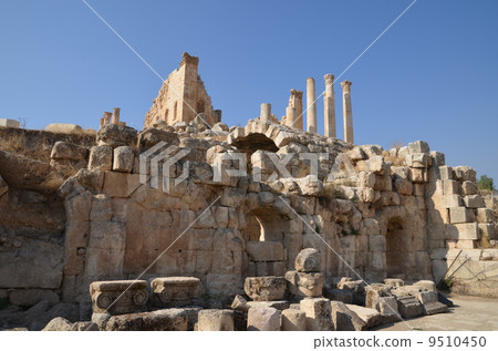 Jellash仍然存在 9510450