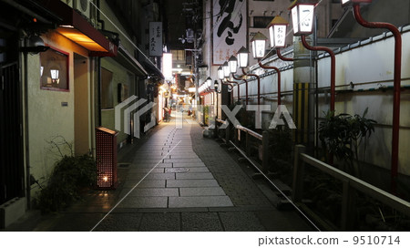 Hozenji Alley 9510714
