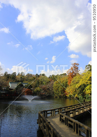 Inokashira公園秋葉 Inokashira公園秋葉 9510950