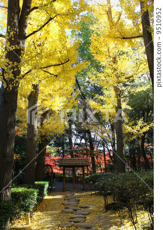 Otakuro秋葉 Otakuro秋葉 9510952