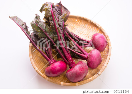 紅燒與葉子 9511164