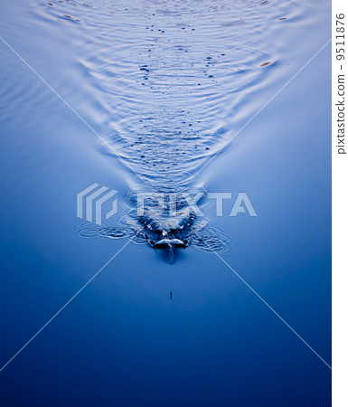 Pool Water Great As A Background 9511876