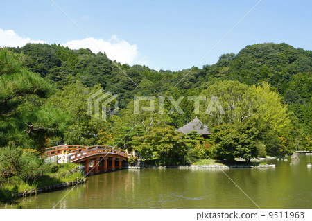 白水Amidado 9511963