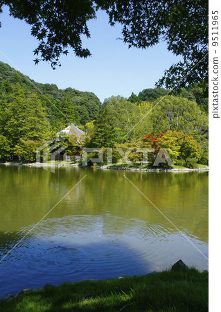 白水Amidado 9511965