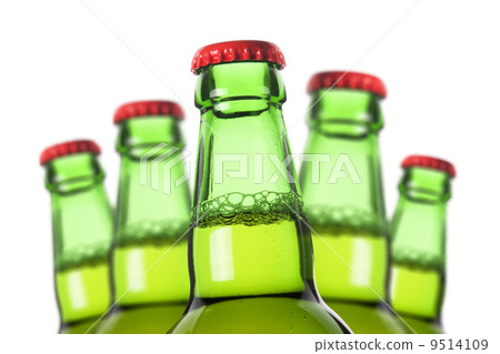 Row of beer bottles Row of beer bottles 9514109