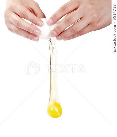 Life of an egg 9514718