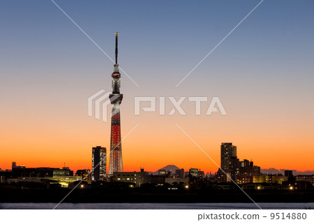Special Writing Sky Tree 9514880