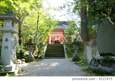 金澤神社[側面] 9515473