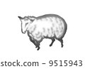 A sheep 9515943