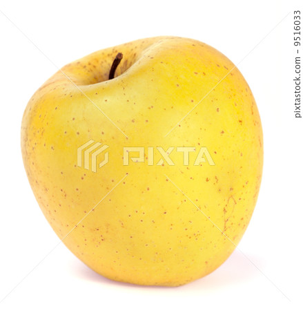 apple 9516033