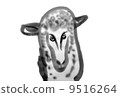 A sheep 9516264