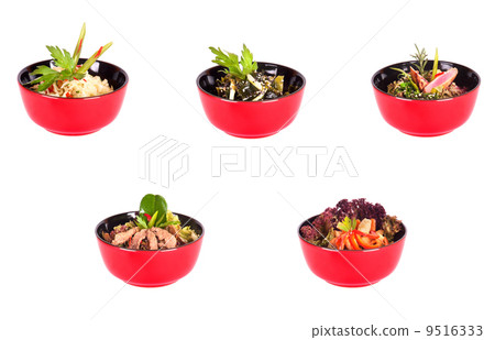 Chinese food in a red plate collection Chinese food in a red plate collection 9516333