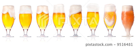 beer collection isolated beer collection isolated 9516481