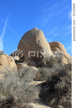 Skull Rock Joshua Tree