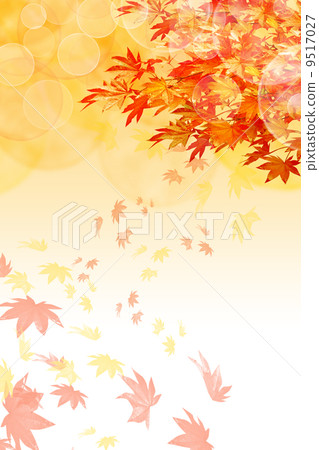 Image background of autumn leaves Image background of autumn leaves 9517027