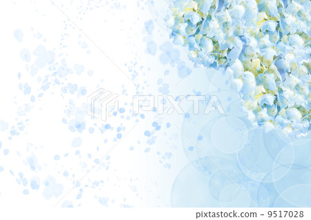 Hydrangea image background Hydrangea image background 9517028
