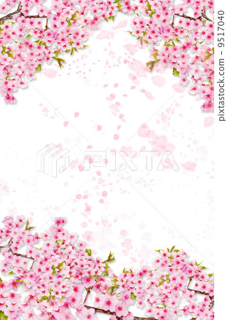 櫻花圖像背景 櫻花圖像背景 9517040