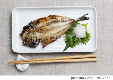 Hiragana asiatica 9517455