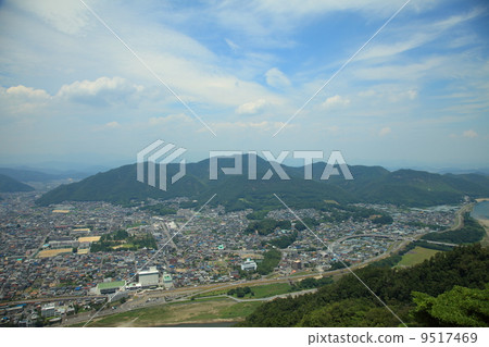 渡渡鳥山 9517469