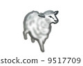 A sheep 9517709