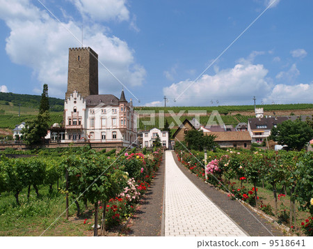 Rudesheim · Vineyard 9518641
