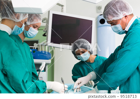 Surgery 9518713