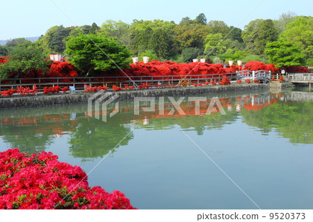 Nagaoka Tenman-gu Shrine Kirishima和Hachijyokei Nagaoka Tenman-gu Shrine Kirishima和Hachijyokei 9520373