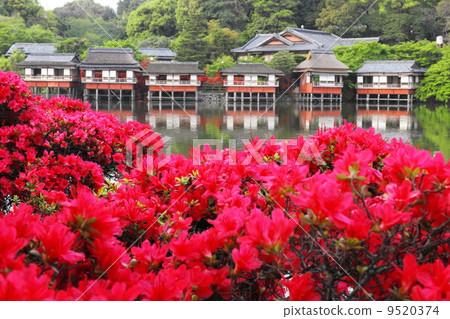Nagaoka Tenman-gu Shrine Kirishima和Hachijyokei Nagaoka Tenman-gu Shrine Kirishima和Hachijyokei 9520374