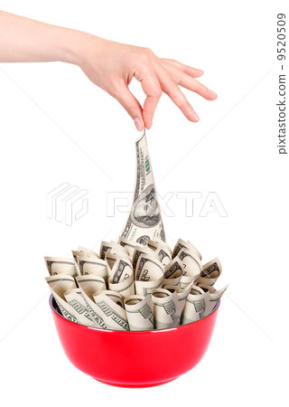 Concept image of food money 9520509