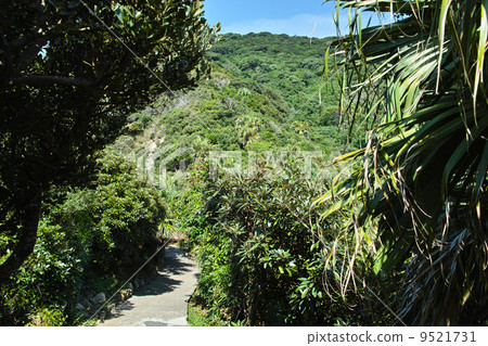 散步薩塔角 9521731